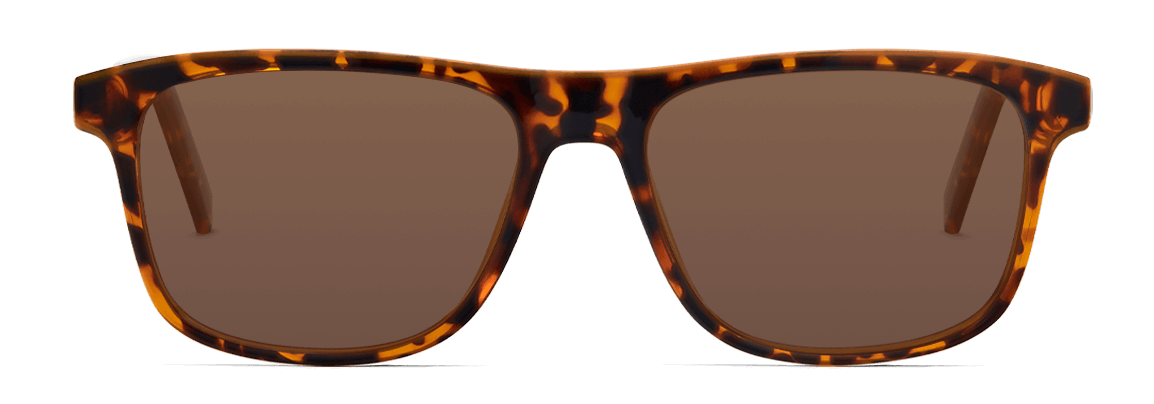 Lentes Nolan Carey