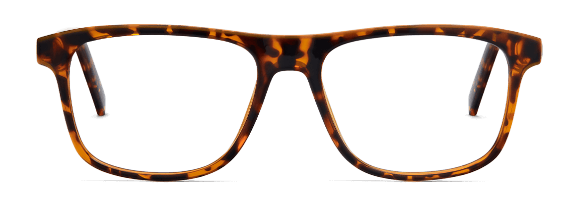 Lentes Nolan Carey
