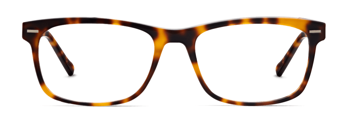 Lentes Holden Carey