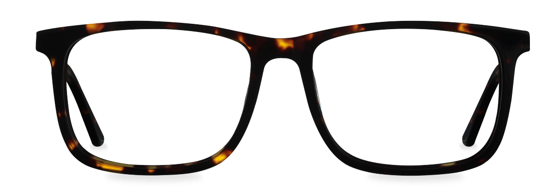 Lentes Cato Carey