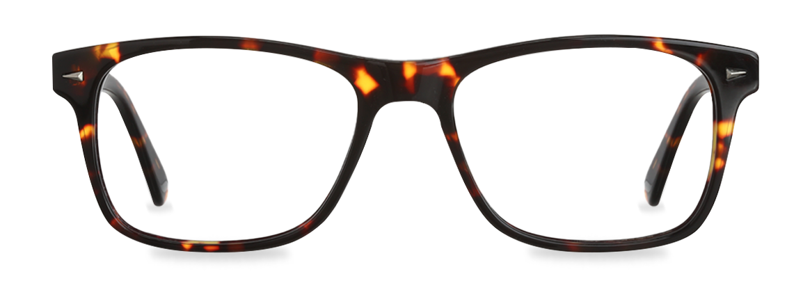 Lentes Ponti Carey